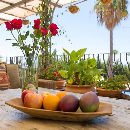 ホテル Cortijo Boutique マルベーリャ