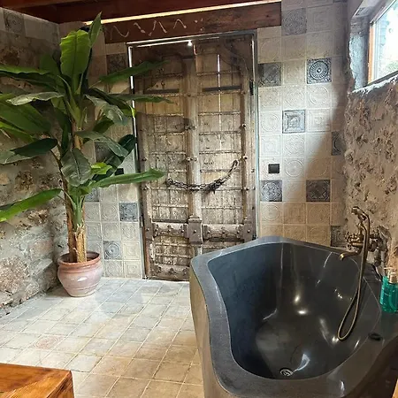 Cortijo Boutique מלון 3*