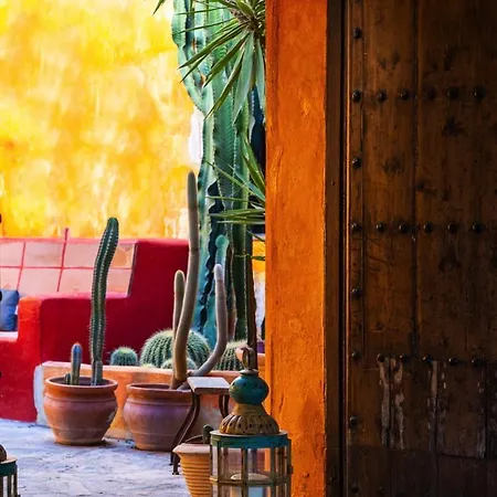 Cortijo Boutique ホテル