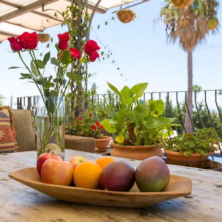 Cortijo Boutique マルベーリャ