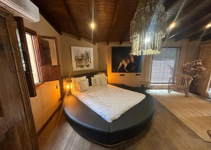 ホテル Cortijo Boutique