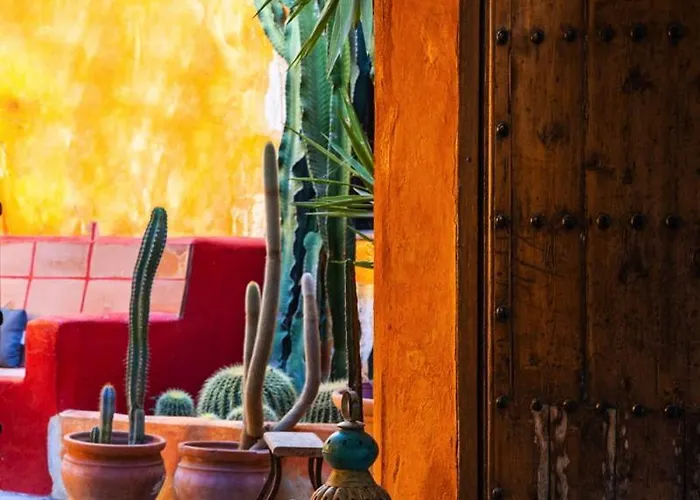 Cortijo Boutique ホテル