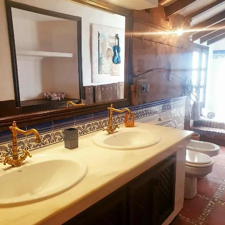 Cortijo Boutique 酒店 马尔韦利亚